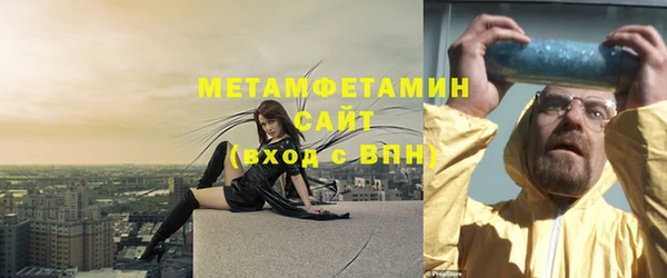 трава Ельня