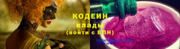 амф Дмитриев