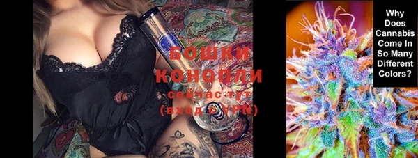 стаф Дмитровск
