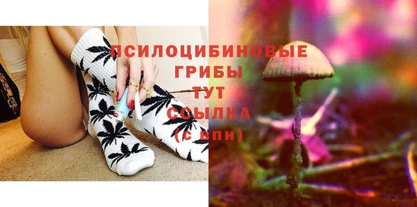 амф Дмитриев