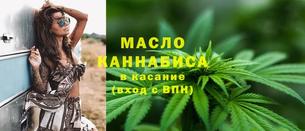 амф Дмитриев