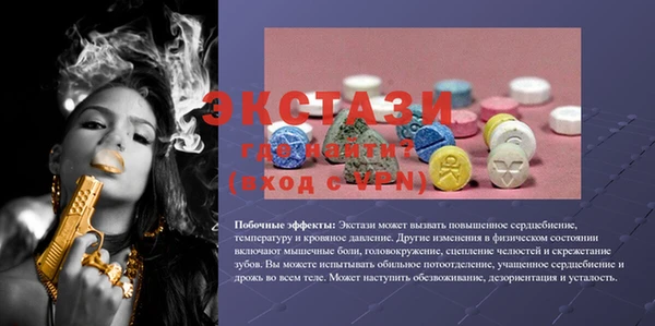 стаф Дмитров